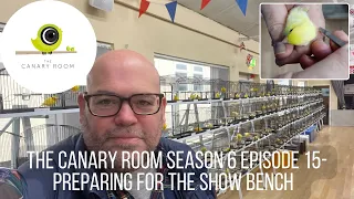 The Canary Room Season 6 Episode 15 - Preparing the show team