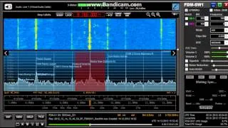 Radio New Zealand International on 9765 kHz, Interval Signal