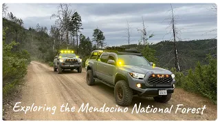 Exploring the Mendocino National Forest