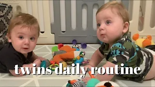 daily routine of 8 month old twins