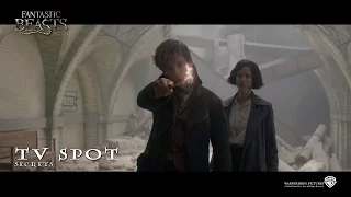 Fantastic Beasts And Where To Find Them ['Secrets' TV Spot in HD (1080p)]