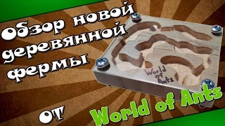 Обзор деревянной муравьиной фермы( формикария) от World of Ants