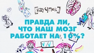 Правда ли, что наш мозг работает на 10%? - Научпок