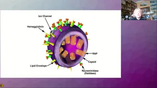 Комплексный подход к лечению гриппа, ОРВИ, включая COVID-19 на современном этапе - Степанова Ирина