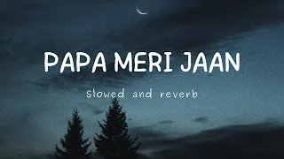 PAPA MERI JAAN | ANIMAL | SLOWED AND REVERB | #animals #slowedandreverb #slowed #song