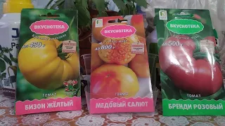 Томаты. Самые урожайные томаты от Поиска серии Вкуснотека на 2022 год