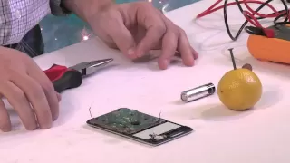 DIY | Build a Lemon Battery!  Power a Calculator with Lemons! Amazing Chemistry Experiment.