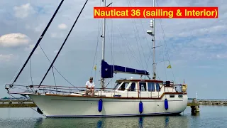 Nauticat 36 (sailing and interieur year 2022)