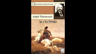 "За сестрою" Андрій Чайковський.  Аудіокнига. 7 клас, українська література.