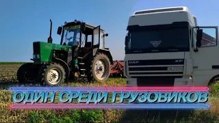 ДИСКОВКА СТЕРНИ. ГУСЕНИЦА УНИЧТОЖАЕТ ПОДСОЛНУХ!