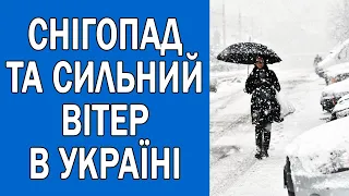 ПОГОДА НА ЗАВТРА : ПОГОДА 1 ЛЮТОГО