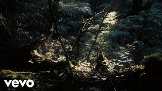 Akira Kosemura - Niji No Kanata (Visualizer)
