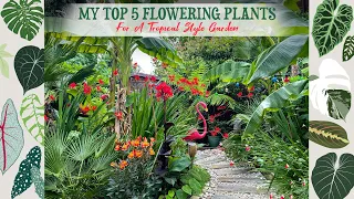 My Top 5 Favourite Flowering Plants For A Tropical Style Garden 🌺🌼🌷🌴🦋