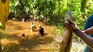 Fishing Video | Fish Catching in Village | Big Fish catching Sri Lanka