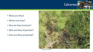 March 2024: Calcareous Fens - Identification, Hydrology, and Regulation