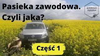 Pasieka zawodowa. Czyli jaka?