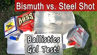 BOSS Bismuth Vs. Steel Shot | Ballistics Gel Test For Duck Hunting Ammo!