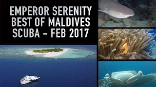 Emperor Serenity Liveaboard - Best of Maldives Scuba Diving Trip - Feb 2017