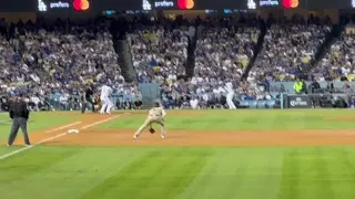 Goose crashes Dodgers-Padres NLDS Game 2 (view from right field)