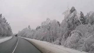 💃🎺🎶Коста Лакоста - Звенит январская вьюга и ливни хлещут упруго 