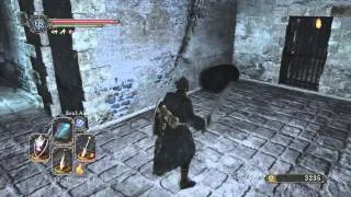 Dark Souls 2 - Hidden Walls - The Lost Bastille And Belfry Luna