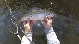 "FLYFISHING THE MIGHTY LACKAWAXEN RIVER", May 2020