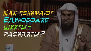 Истинная сущность Таухида у шиитов - рафидитов | шейх Халид аль-Фулейдж