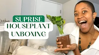 Surprise Houseplant Unboxing | Houseplants From Canopy Plant 🌱 Co., Louisiana Nursery