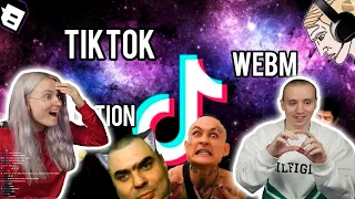 МОДЕСТАЛ СМОТРИТ: ПОДБОРКА МЕМОВ ИЗ ТИКТОК // TIKTOK WEBM COMPILATION 67