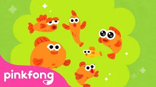 Enam Ikan Kecil 🐟| Nyanyi sama Baby Shark | Lagu Anak Sajak | Pinkfong dan Baby Shark