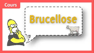 🤔 Quels symptômes devant faire suspecter une Brucellose 🤒❓ - Cours - Maladies infectieuses