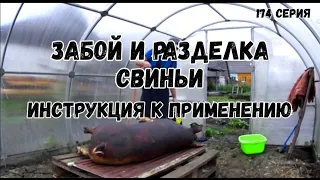 Как забить свинью /Как заколоть свинью / Как обсмалить свинью / Как разделать свинью /Полная версия