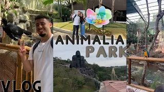 Animália Park - OPINIÃO SINCERA! VLOG Bruno Roberto TV #saopaulo