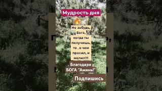 #молитвы #shortsfeed #господь #символверы #shortvideo #психология #любовь