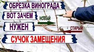 🍇 Почему от ЭТОЙ ОБРЕЗКИ ВИНОГРАДА ШАРАХАЮТСЯ  виноградари?  Как работает сучок замещения?