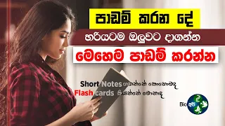 හරියටම පාඩම් ඔලුවට දාගන්න - How to make Flash cards and Short Notes - Study Tips Sinhala | Bio Api 🌿