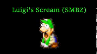 Luigi's Scream (Super Mario Bros. Z) -  Sound Effect