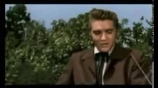 Elvis Presley - Let me (colorizado)_xvid.avi