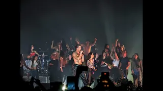 Maneskin - Kool Kids FINALE - FANS ON STAGE - Pubblico sul PALCO - BOLOGNA - MARZO 2023 - #SHORT