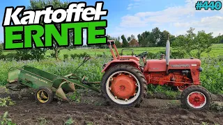 Ernten wie früher... | Kartoffeln roden | Mc Cormick D430 | John Deere Lanz Roder | Mr. Moto