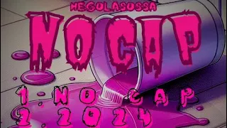 HEGO - 2. 2024 ( NO CAP THE MIXTAPE ) PROD: @djproblematic