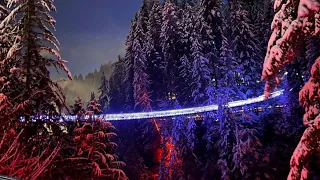 【 4K 】More Beautiful than ever | Canyon Lights in Heavy snow | Capilano Suspension bridge