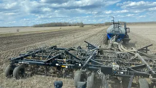 Seeding for the neighbour