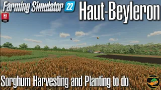 FS22 - Haut-Beyleron  - Sorghum Harvesting and Planting to do - #11