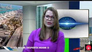 DESPIERTA MIAMI