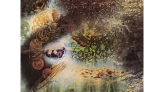 PINK FLOYD ALBUM REVIEWS- SAUCERFUL OF SECRETS (1968)