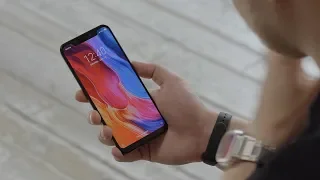 IPhone X by Xiaomi. Mi 8 Review