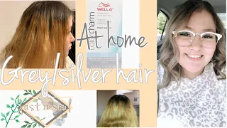 Brassy to silver/gray hair. AT HOME | Using Wella T18 & 050