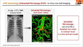 (Feb 23) In Vivo Cellular level Imaging of Internal Organs in a Live Animal by Dr Pilhan Kim