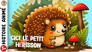 HISTOIRE POUR DORMIR pour enfant. S'endormir FACILEMENT. " Cici Le Petit Hérisson "